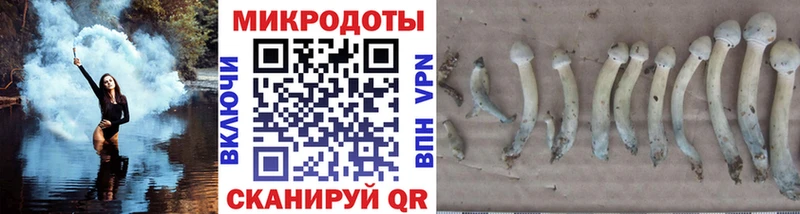 Псилоцибиновые грибы Psilocybine cubensis  блэк спрут онион  Шали 